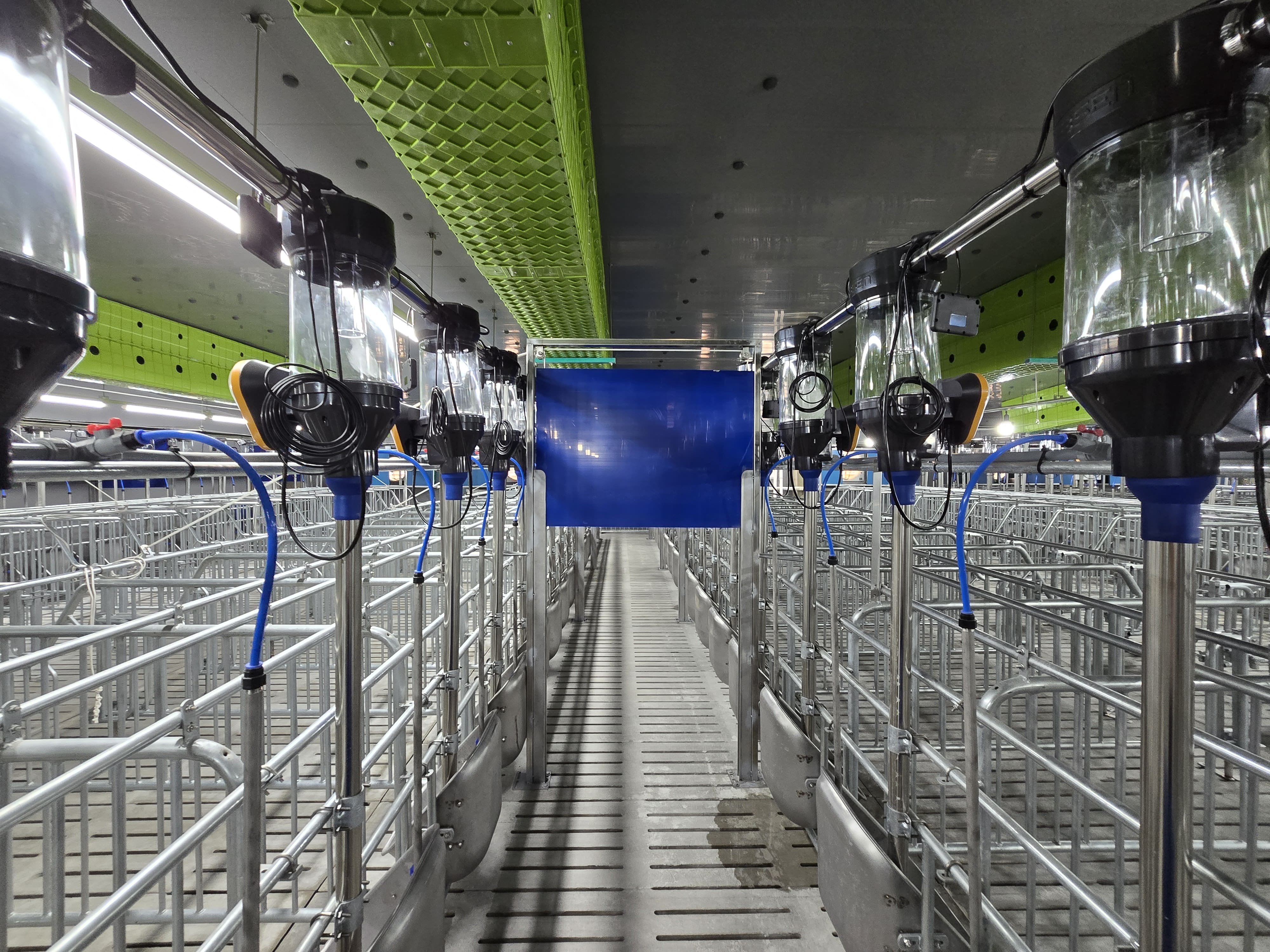 상진축산 이미지