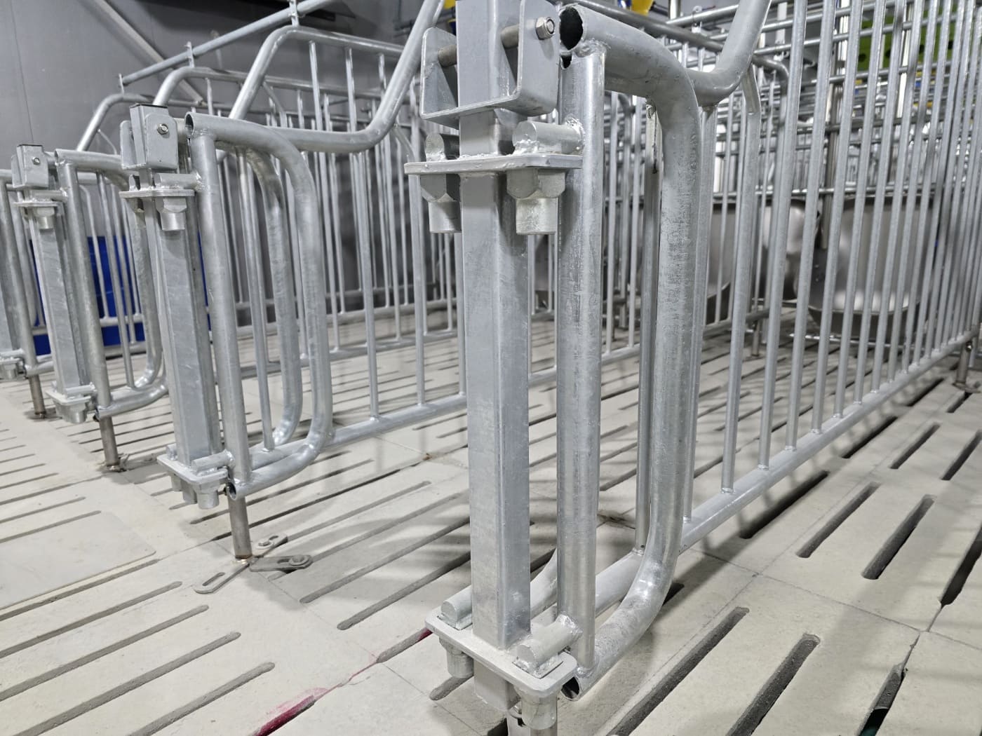 덕원농장 이미지