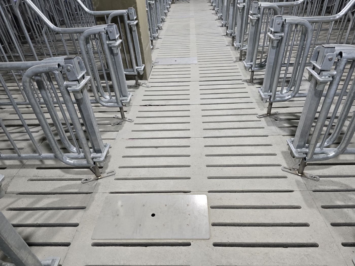 덕원농장 이미지