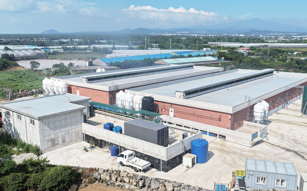 신축 리모델링 고려사항