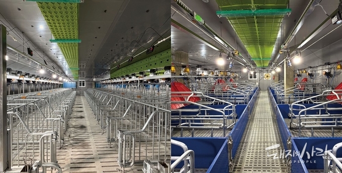 딥스캔 딥아이즈 설치 현장